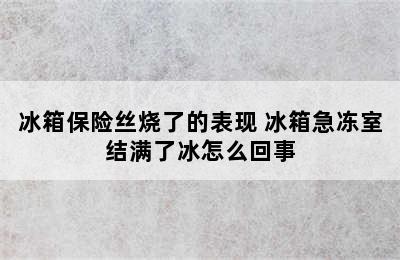 冰箱保险丝烧了的表现 冰箱急冻室结满了冰怎么回事